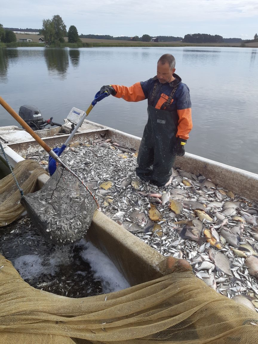 Magnus Böklin från Klara Vatten Sverige AB genomför ett reduktionsfiske.