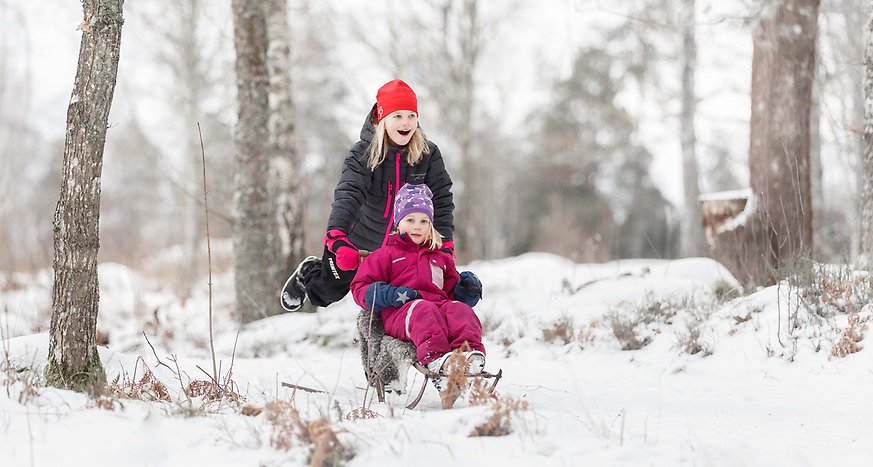 Två barn åker spark i snön. Foto: Hanna Maxstad